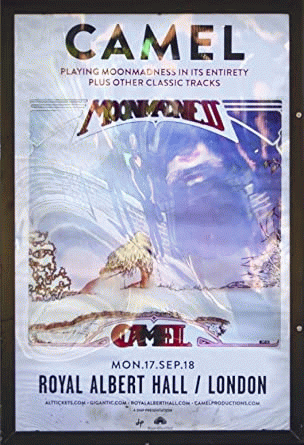 Camel : Live at the Royal Albert Hall (Blu-Ray)